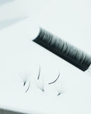 Cashmere Dream Camellia Lash Trays - 0.05
