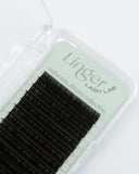 Cashmere Dream Lash Trays - 0.05